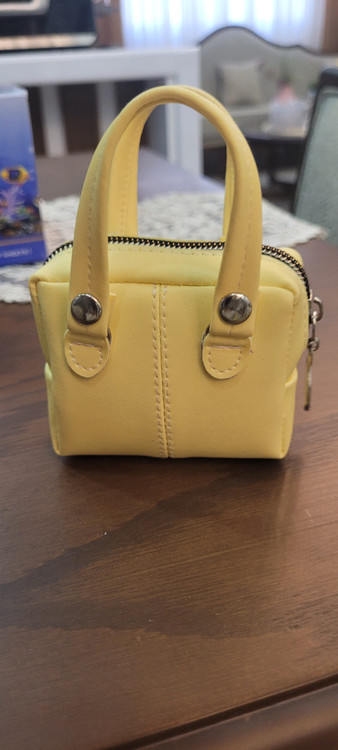 کیف هندزفری و لوازم جانبی مدل سلما